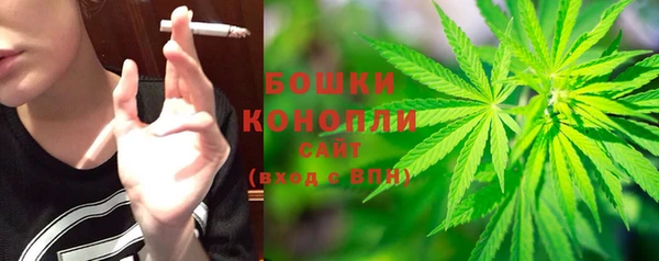 дмт Горнозаводск