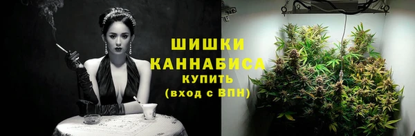 дмт Горнозаводск