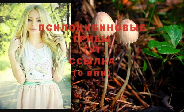 дмт Горнозаводск