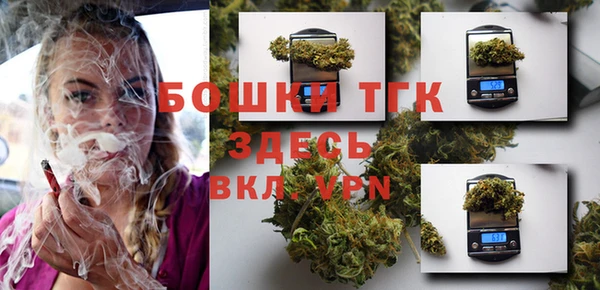 дмт Горнозаводск